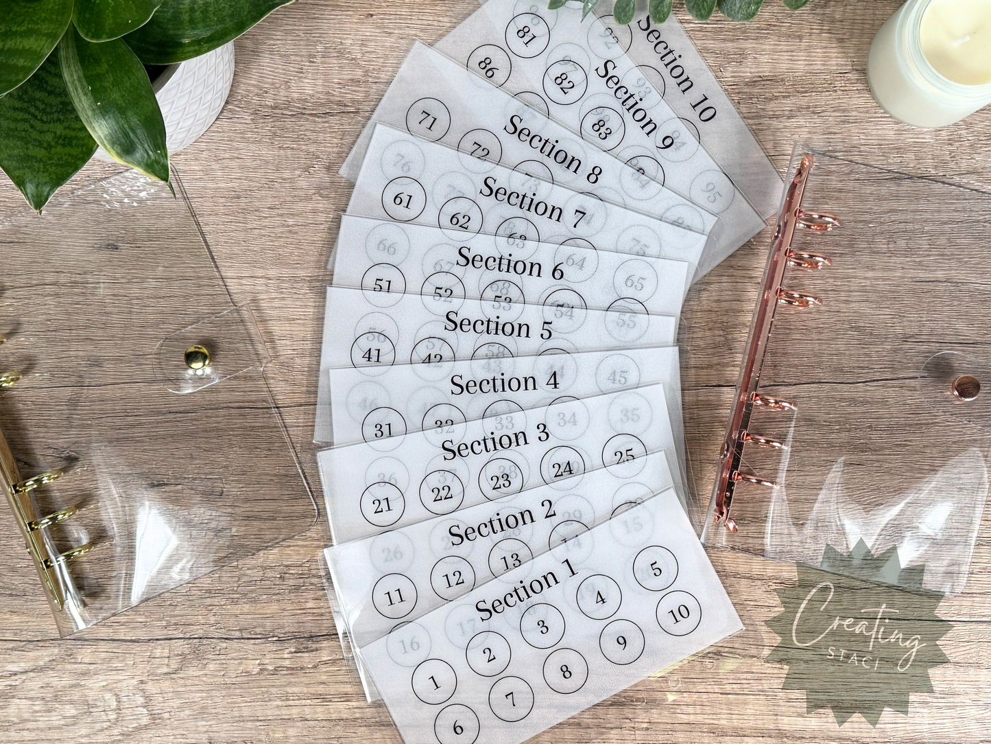 100 Envelope Vellum Savings Challenge