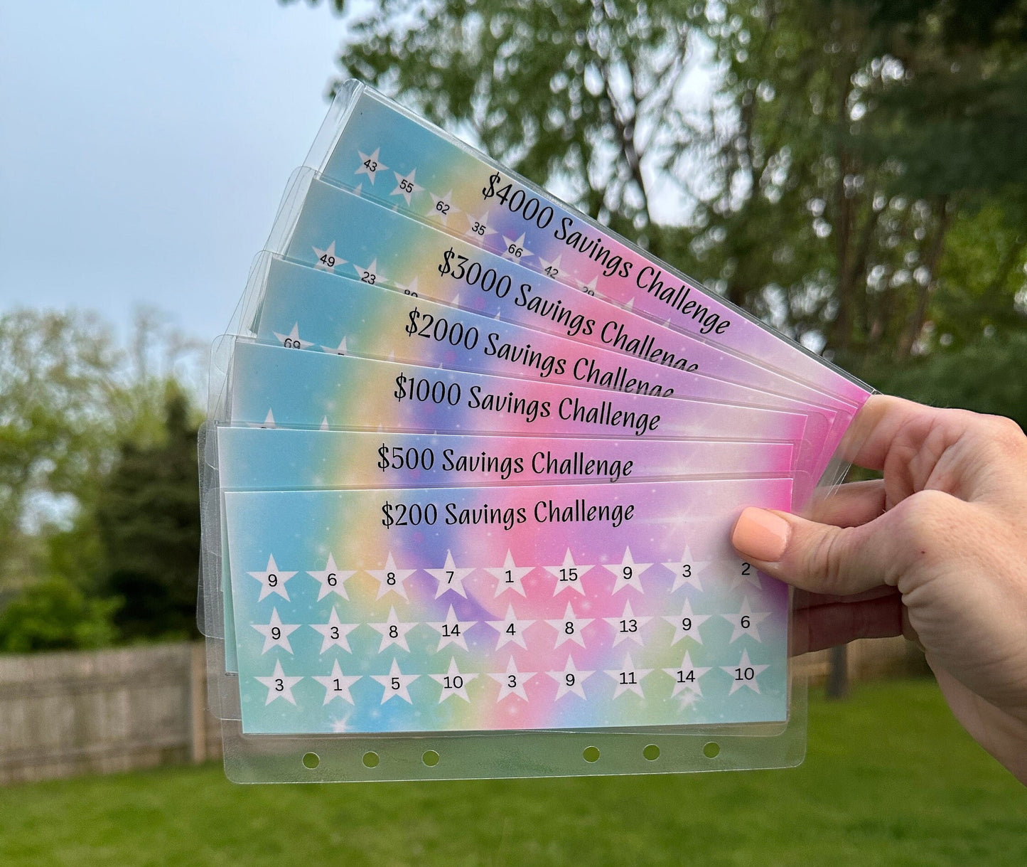 Savings Challenge Envelope