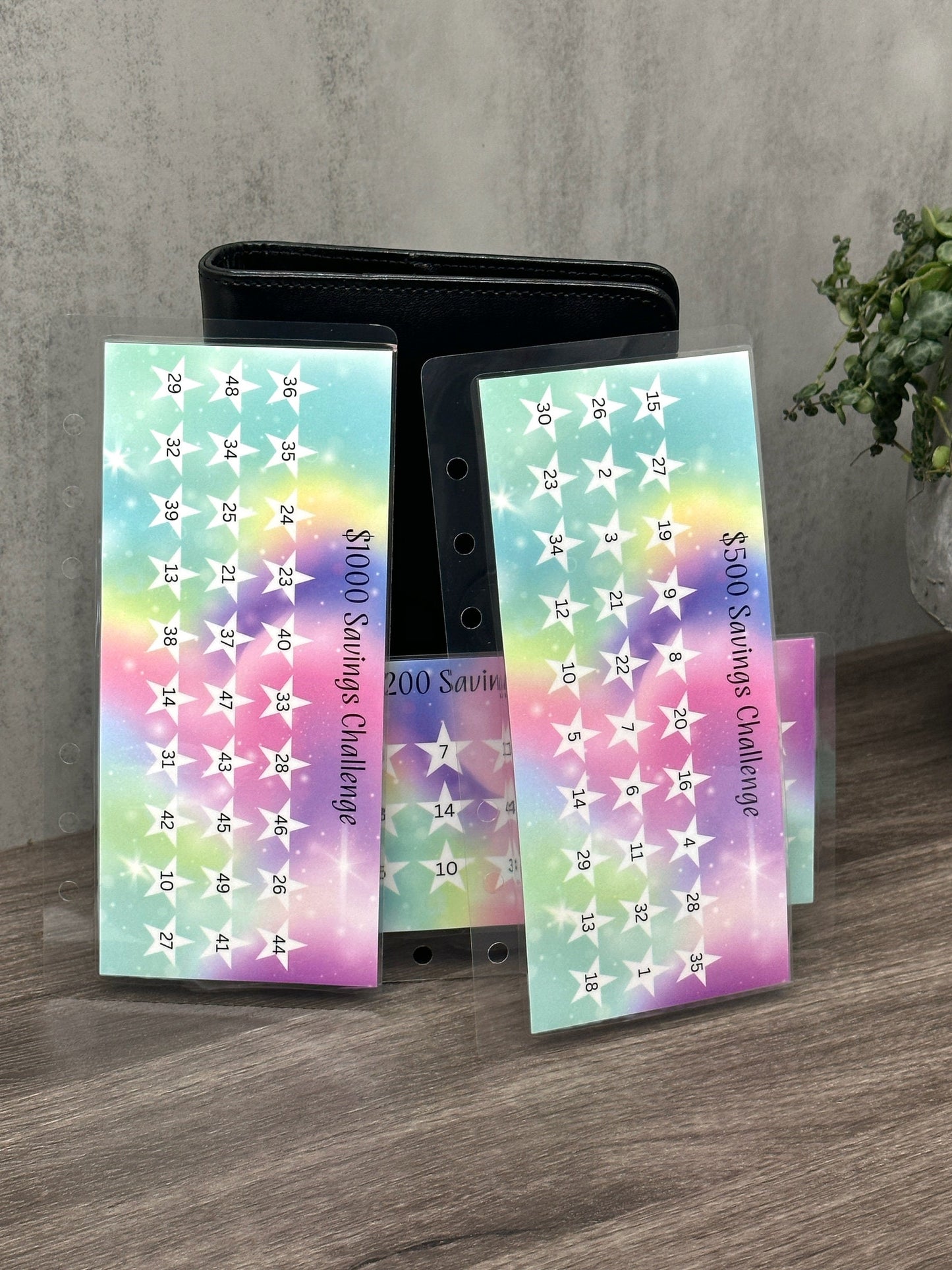 Savings Challenge Envelope
