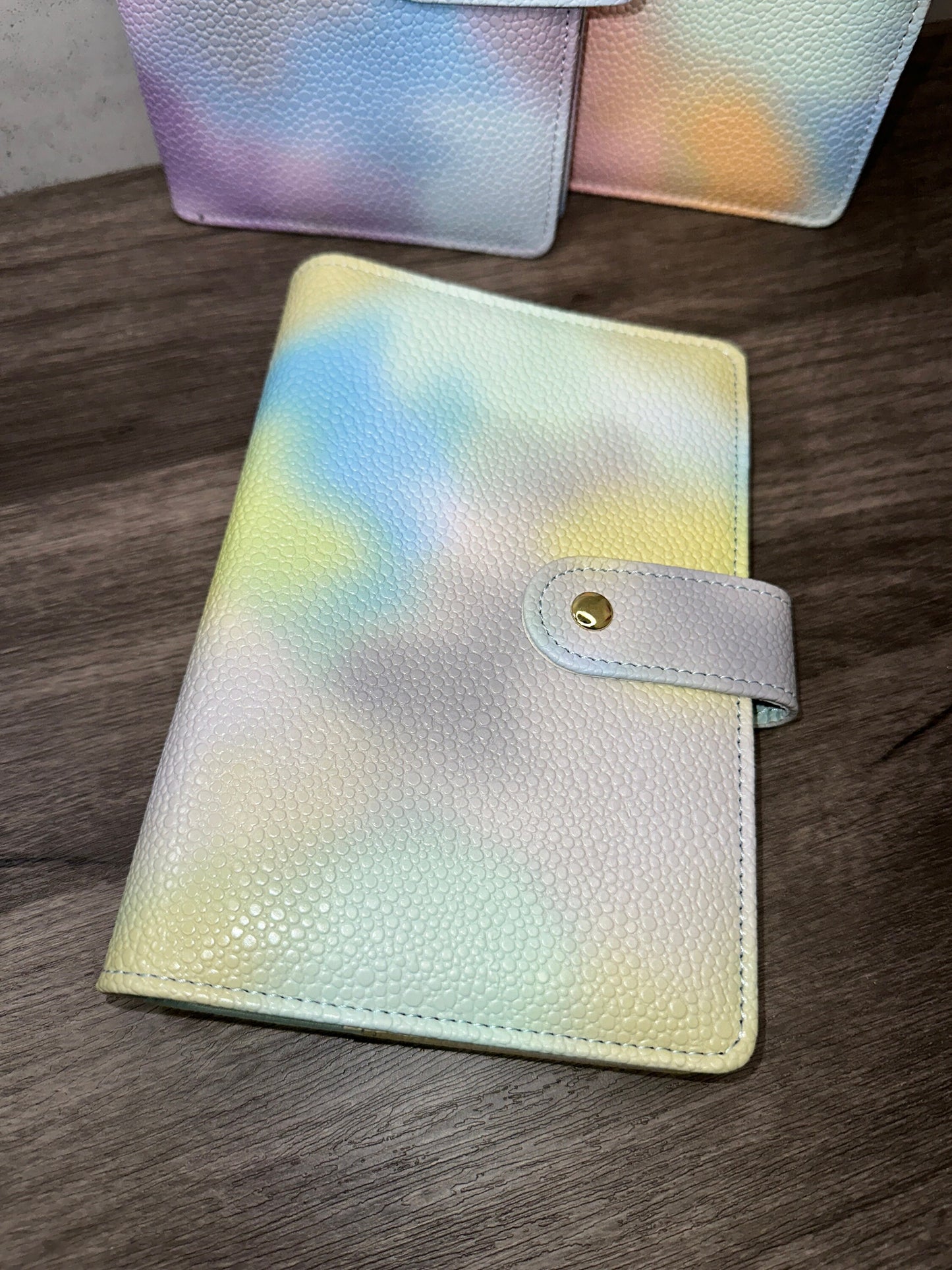 A6 Rainbow Budget Binders