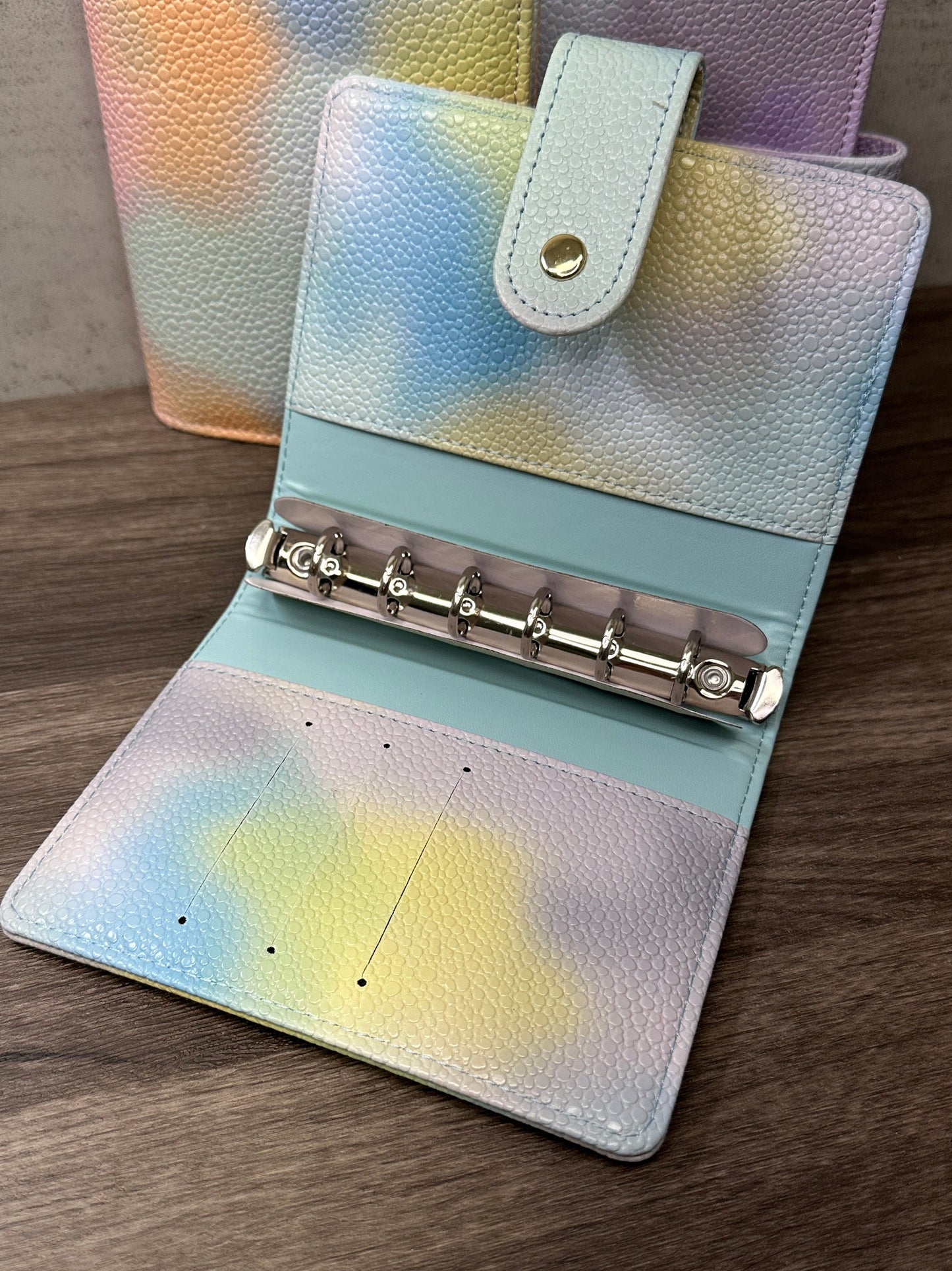 A7 Rainbow Budgeting Binder