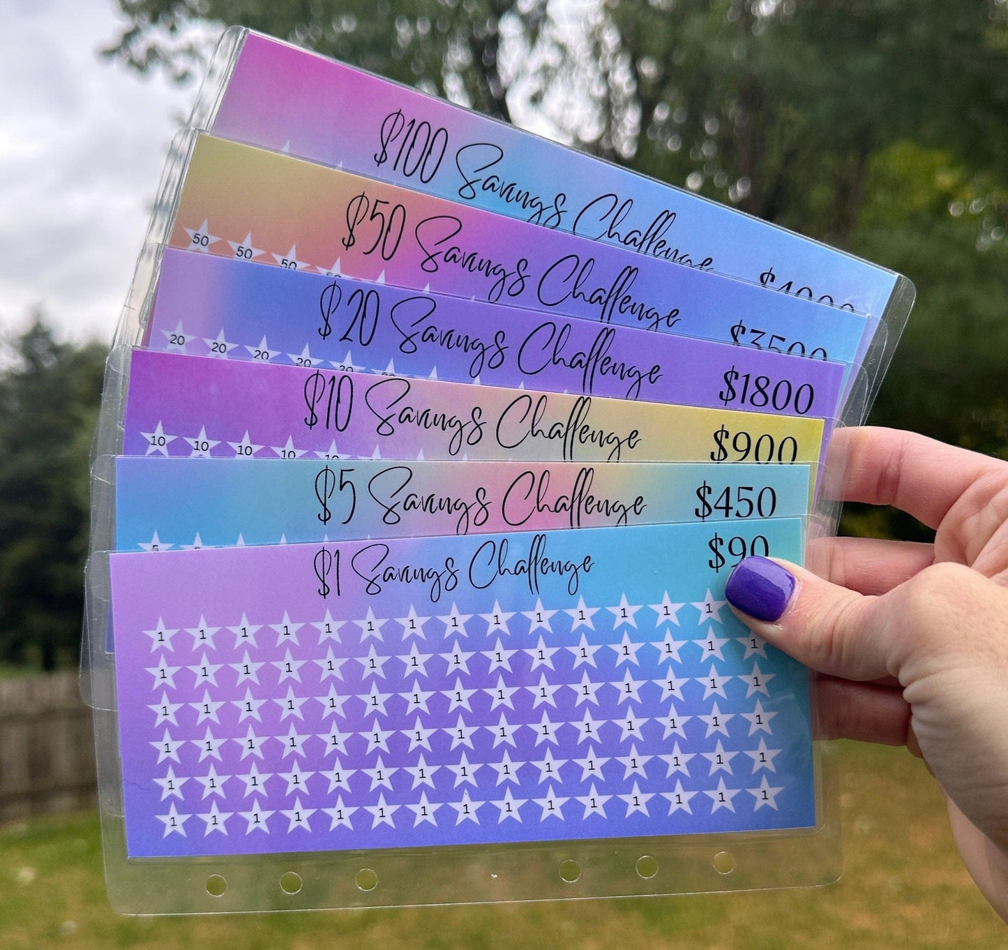 Savings Challenge Envelopes