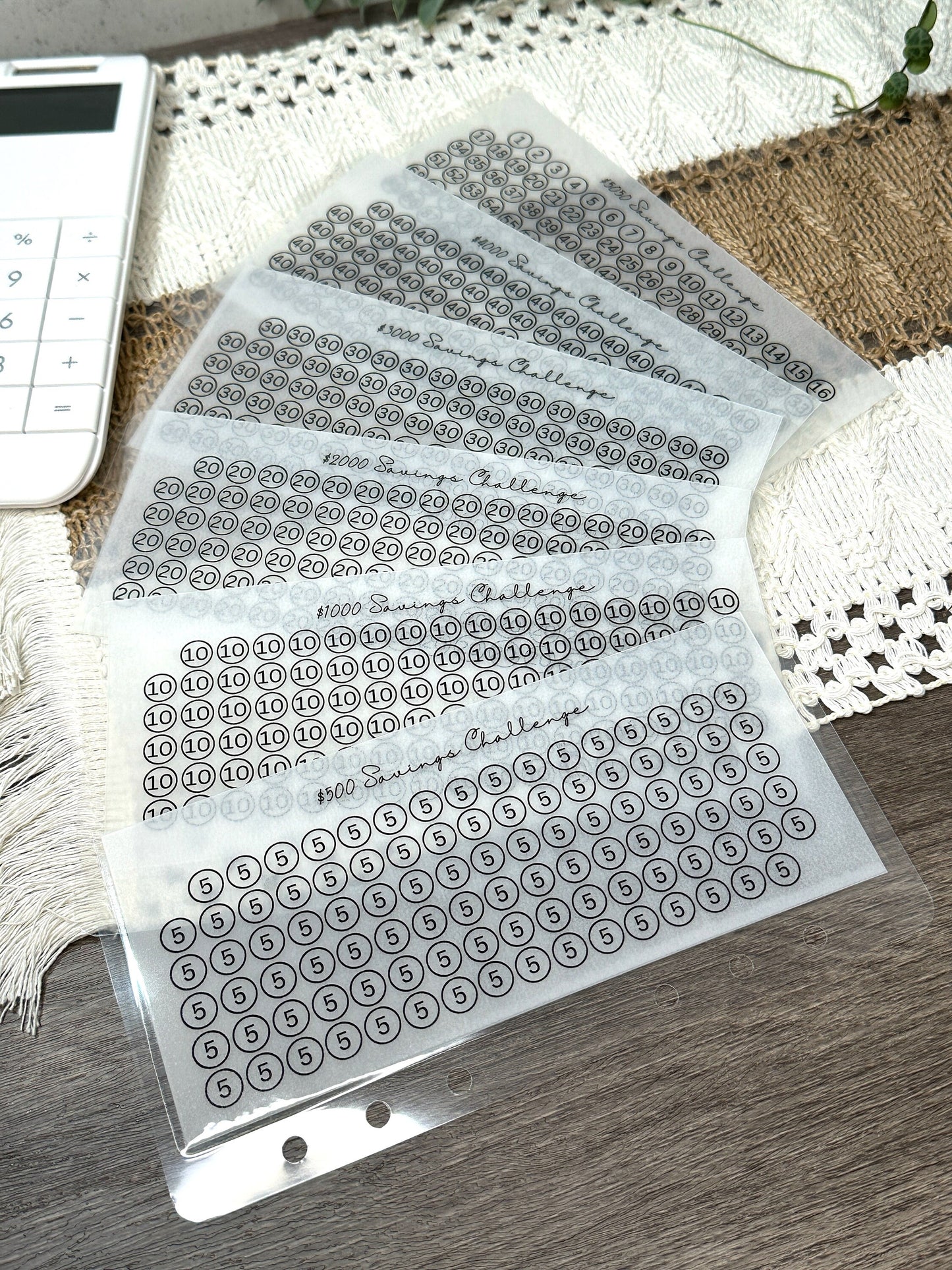 Vellum Savings Challenge Envelopes