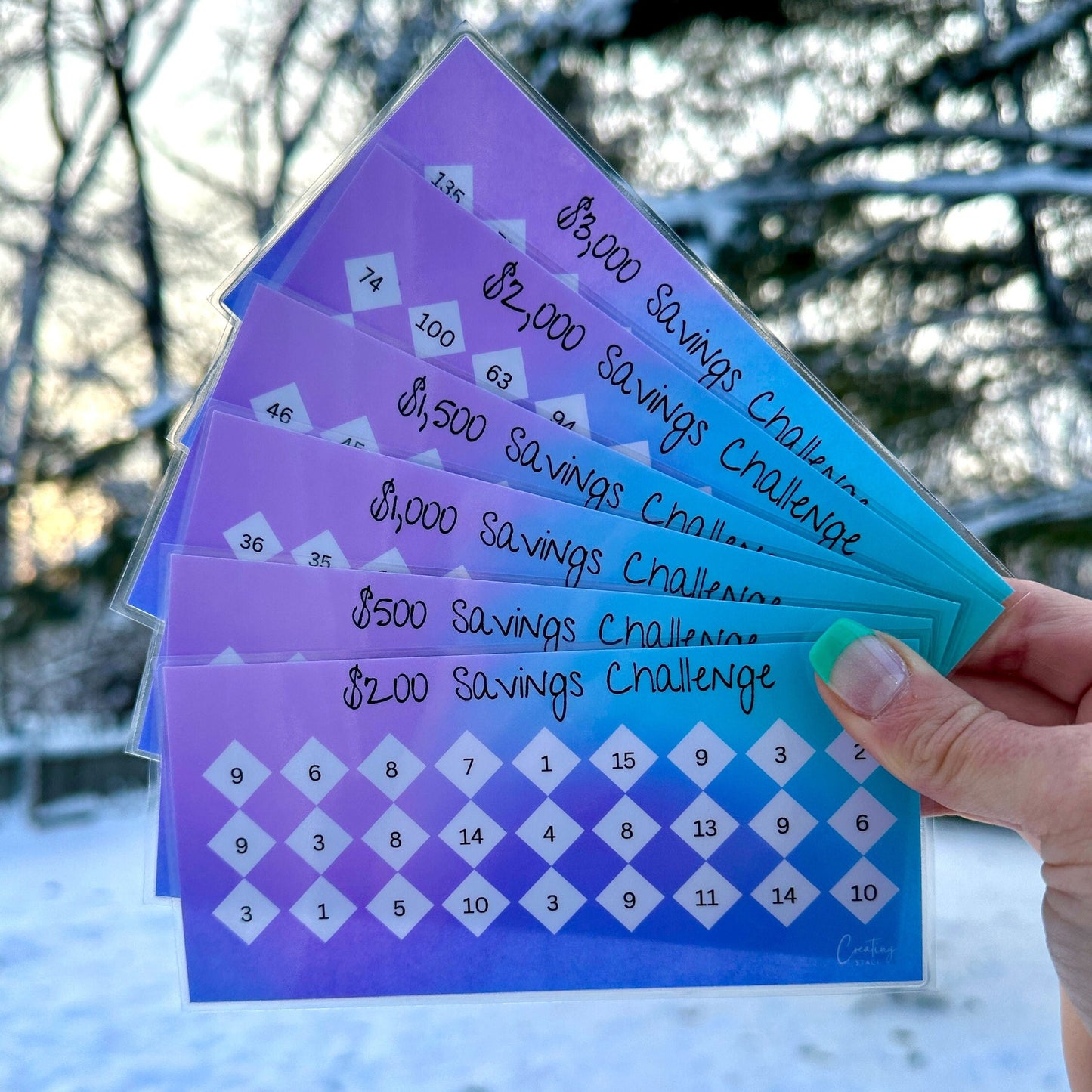 Savings Challenge Trackers