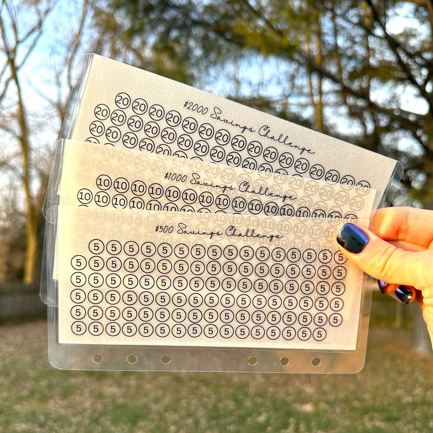 Vellum Savings Challenge Envelopes
